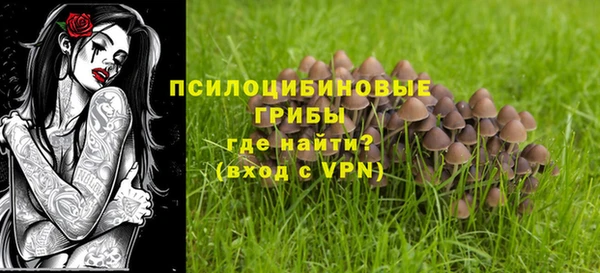 ALPHA-PVP Карпинск